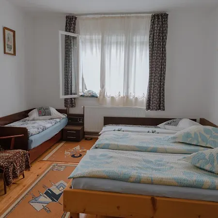 Pensiunea La Maison Verte Guest house *