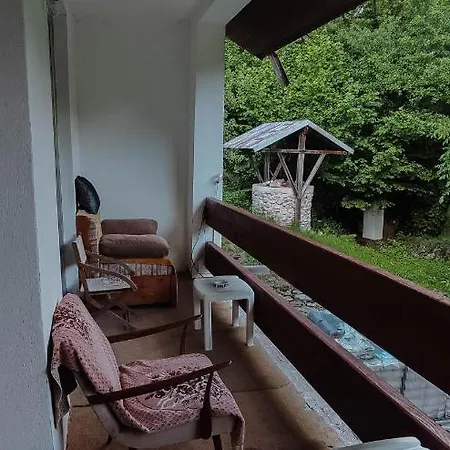 Pensiunea La Maison Verte * Pietroasa (Bihor)