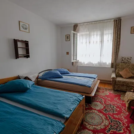 Pensiunea La Maison Verte *