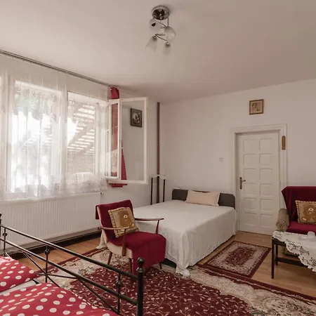 Guest house Pensiunea La Maison Verte