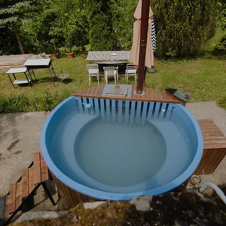 Pensiunea La Maison Verte Pietroasa (Bihor)