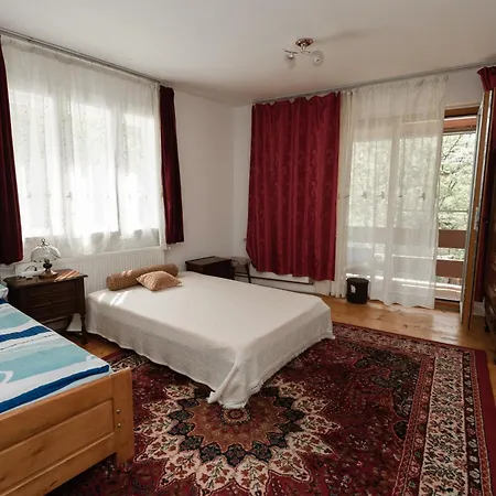 Pensiunea La Maison Verte Guest house
