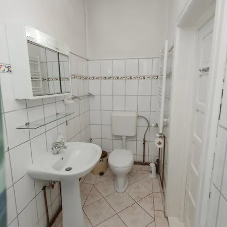 Guest house Pensiunea La Maison Verte